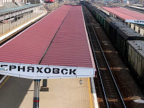 Овцевод из Черняховска пожаловался губернатору на полицейских