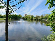 Сухая прохладная неделя остудит Калининградскую область