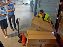 Россельхознадзор: убийца леса может прибыть в Калининградскую область