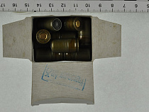 Польские пограничники нашли в машине россиянина восемь патронов