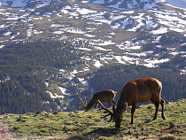 Российский режиссёр получил Гран-При международного кинофестиваля «Северный Характер»