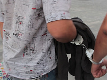 Калининградец украл в Новороссийске 70 тонн мандаринов