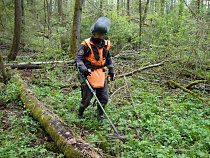 Под Светлым нашли боеприпасы