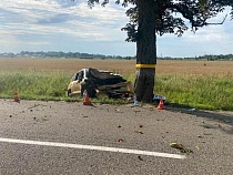 Под Гурьевском бесправный 17-летний разложил «Тойоту» об дерево