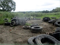 Агентство по имуществу забросило 2 га земли под Калининградом 
