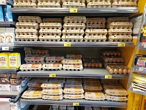 Регион в 7 раз нарастил поставки инкубационных яиц из Италии