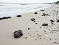 Вадим Сивков: Куршская коса вполне реально может стать островом