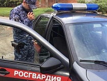 Житель Гвардейска пытался бесплатно напиться в магазине в Калининграде