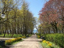 Власти Янтарного пригласили желающих вкусно поесть, горячо попить