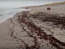 В Балтийске вынесло на берег тело 19-летнего юноши 