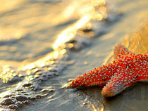 Калининград стал четвертым в рейтинге городов России для поездки на праздничные выходные 