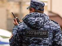 Турист из Саратова сильно хотел подраться в «Ашман парке» в Калининграде