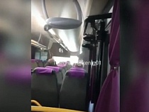 Дымом в автобусе Калининград – Светлый заинтересовался СКР 