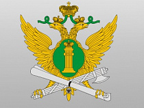 В аэропорту Храброво могут разрешить должникам перед вылетом оплачивать штрафы