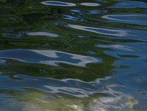 112: в Правдинском районе в реку упал мужчина