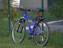 Глава Минприроды России поддержал создание велодорожки на Куршской косе