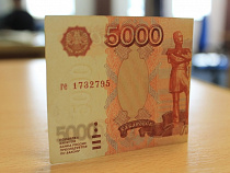 Женщина-предприниматель из Калининграда недоплатила по налогам 29,5 млн рублей