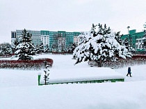 Каждый 10-й допускает помощь властям в уборке при больших снегопадах