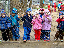 В Калининграде родители покалеченного ребенка взыскали компенсацию с детсада