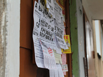 ОНФ: в области шесть компаний занимаются нелегальным кредитованием