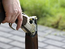 В Озёрском районе изобличили нелегального торговца оружием