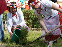 В конце апреля в Калининградской области посадят более 80 тысяч лесных растений