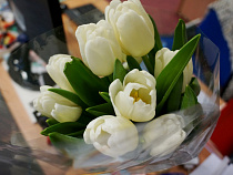 В Калининградской области к 8 Марта вырастили более 7 млн тюльпанов