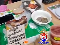 К женщине с собаками у Северного вокзала пришла точечная облава