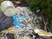 В Полесске у «Пивоварни» систематически сбрасывают опасные медицинские отходы (видео)