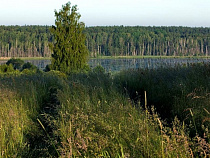 Поляки и россияне заключат договор о "лесном братстве"