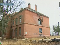 Семья фермеров защищает историческое здание от вандалов отарой овец