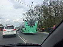В Калининграде полиция возбудила административное производство по факту падения бетонной опоры на троллейбус
