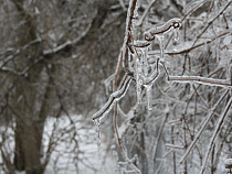 Житель Мурманска рассказал о спасении по телефону замерзающего земляка