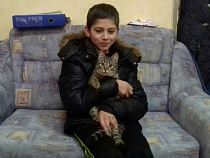 Пропавший под Калининградом мальчик ночевал в сарае с бездомным котом