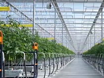 Повелитель теплиц Калининградской области получил льготные деньги