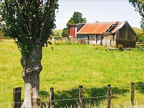 В 2016 году на развитие сельских территорий в региональном бюджете предусмотрено более 105 миллионов рублей