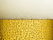 Летом в России возможно введение лицензирования пива