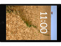 Светловский паскудник разжился гаджетами из чужого дома