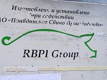 ПСП не смогло взыскать 892 млн рублей за падёж свиней от АЧС
