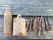 Под Багратионовском у местного жителя нашли боеприпасы и гранату