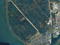 Под Светлым идёт сплошная вырубка 27 гектаров леса 