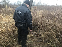 Под Калининградом обнаружили схрон боеприпасов 