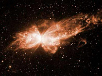  Известный астрофизик Антон Бирюков встретится с калининградскими студентами