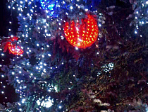 Траур по Ту-154: в Калининграде перенесена  губернаторская ёлка