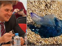 Министр культуры Калининградской области встретил в Марокко ядовитое существо (видео)