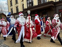 По Зеленоградску продолжают шествовать Деды Морозы 