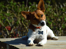 В Калининграде четыре сотрудника ООО «Нерон» работали без действующего сертификата специалиста