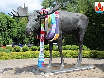 Лосю из Советска подарили 17-метровый шарф 