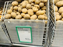 На картофель пришлось 10% импорта овощей в Калининградскую область