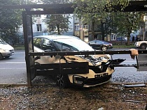 Тяжело ранивший мать и сына водитель «Рено» дал объяснение